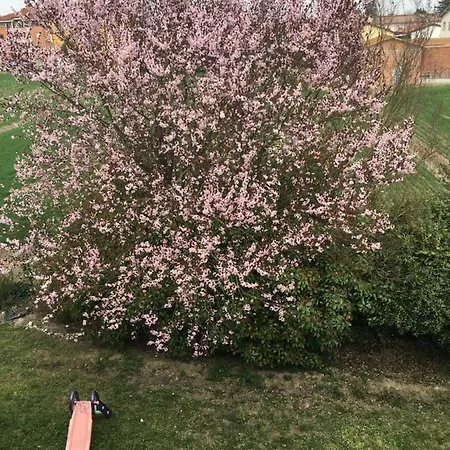 Bed and breakfast La Casa Di Klida 3*