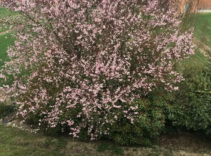 Bed & Breakfast La Casa Di Klida 3*